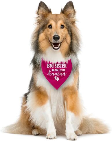 Big Sister Dog Bandana, Baby Pink Dog Bandana, Big Sister Bandana for Dog, Gender Reveal Dog Bandana, Baby Announcement Dog Bandana, Dog Bandana for Small Medium Large Dogs, Dog Triangle Scarf (D5) in Saudi Arabia