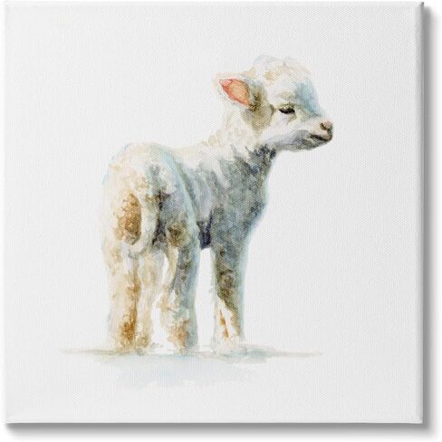 لوحة فنية جدارية من القماش من Stupell Industries Shaggy Lamb بالألوان المائية لحضانة الأطفال، 30 × 30، أبيض in Saudi Arabia