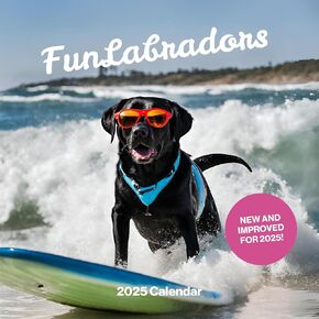 Fun Cats Wall Calendar 2024 - Large Family Planner & Daily Organizer with Funny Monthly Cat Images - Slim Design 2024 Wall Planner - Cat Calendar - Funny Cat Gifts