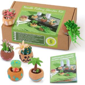 Needle Felting Kit, 9 PCS Succulent Needle Felting Beginner Kits, Wool Felting Kit Including Wool Roving, Felting Pad, Felting Needles and Instructions for DIY Felting Starters