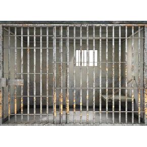 BELECO 7x5ft Fabric Prison Bars Backdrop Jail Backdrop Jail Bars Murder Crime Theme Party Police Cell Mugshot Photography Background Birthday Party Decoration Kids Adults Video Studio Photo Props