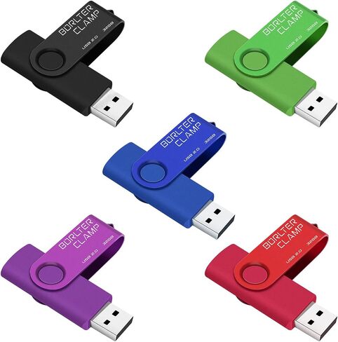 BorlterClamp 32GB USB Flash Drive 2 Pack USB 2.0 Drive Pack Bulk Swivel Memory Stick Colorful Thumb Drive USB Storage Pen Drive, Black and Purple in Saudi Arabia