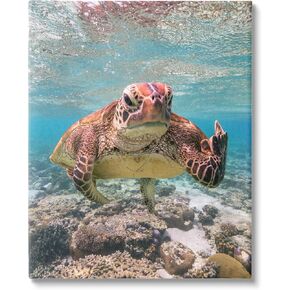 Stupell Industries Angry Turtle Middle Finger Canvas Wall Art by Mark Fitzpatrick