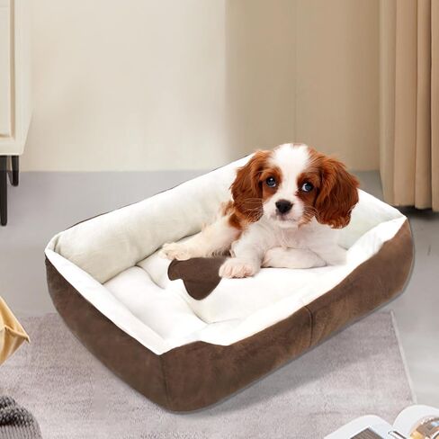 أسرة الكلاب للكلاب الصغيرة، أسرة قطط مستطيلة للقطط الداخلية، سرير للحيوانات الأليفة قابل للغسل مقاس 20 × 15 × 6 بوصة مع قاعدة جانبية ومضادة للانزلاق للكلاب المتوسطة والقطط (أسود) in Saudi Arabia