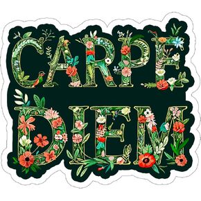 Carpe Diem Sticker Window Weatherproof Decal Vinyl Small Waterproof for Water Bottle Mug Passport Book Scrapbook Notebook Laptop Tumbler Skateboard Computer Phone Size 4" Funny Gift ID44990