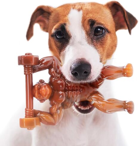 Beef Flavor Joint Dog Chew Toy for Medium/Large Breed Dogs, Indestructible Durable Long Lasting 100% Nylon Dog Chew Toy for Aggressive Chewers - Funny Dog Toy to Keep Them Busy in Saudi Arabia