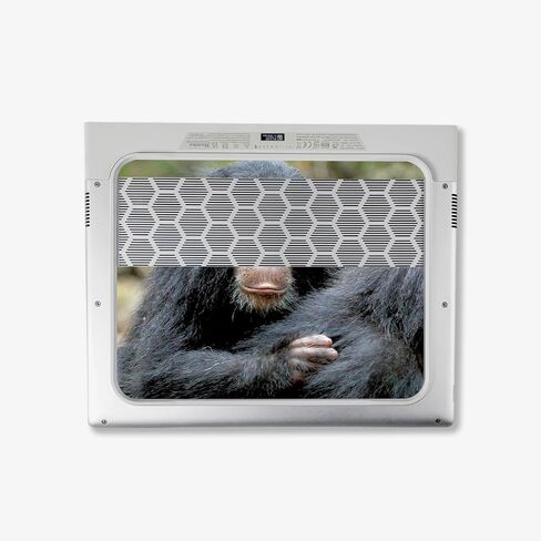 غلاف MightySkins المتوافق مع Alienware X14 R2 (2023) طقم التغليف الكامل - Baby Chimp | غطاء ملتف واقٍ ومتين وفريد ​​من نوعه من الفينيل | سهل التطبيق وتغيير الأنماط | صنع في الولايات المتحدة الأمريكية in Saudi Arabia