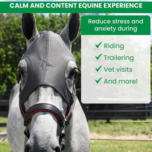 Liquid Titanium Therapeutic Horse Mask - Large - Black in Saudi Arabia