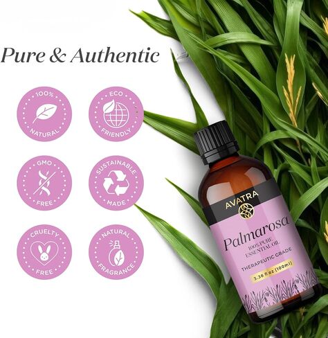 Avatra Rose Essential Oil for Diffuser, Perfume, Skin, Hair, Aromatherapy | Pure & Natural Essential Oil for Massage, Bath, Soap, Candles | Premium Grade with Glass Dropper- 3.38 Fl Oz in Saudi Arabia