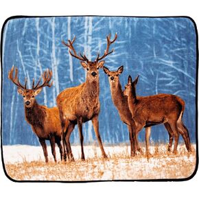 Northwest 3 Friends Oversized Raschel Throw Blanket, 60" x 80"