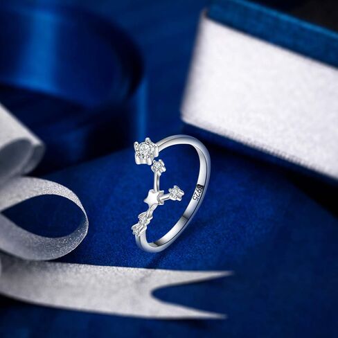 EleQueen Women's 925 Sterling Silver Cubic Zirconia Horoscope Zodiac 12 Constellat Ring Collection Birthday Gift, Valentine's Day/Mother's Day/Christmas Jewelry Gift for Girlfriend/Mom in Kuwait