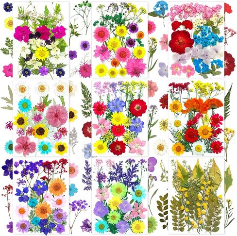 192Pcs Dried Pressed Flowers for Resin, Assorted Real Natural Bulk Dry Floral Leaves for DIY Art Crafts, Epoxy Molds, Jewelry, Soap, Candle Making, Nails Decors in Saudi Arabia