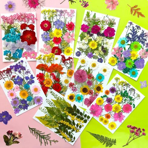 192Pcs Dried Pressed Flowers for Resin, Assorted Real Natural Bulk Dry Floral Leaves for DIY Art Crafts, Epoxy Molds, Jewelry, Soap, Candle Making, Nails Decors in Saudi Arabia
