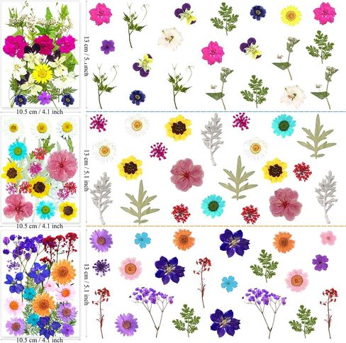 192Pcs Dried Pressed Flowers for Resin, Assorted Real Natural Bulk Dry Floral Leaves for DIY Art Crafts, Epoxy Molds, Jewelry, Soap, Candle Making, Nails Decors in Saudi Arabia