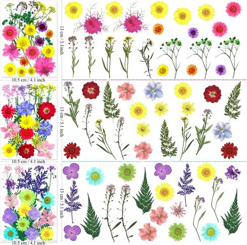 192Pcs Dried Pressed Flowers for Resin, Assorted Real Natural Bulk Dry Floral Leaves for DIY Art Crafts, Epoxy Molds, Jewelry, Soap, Candle Making, Nails Decors in Saudi Arabia