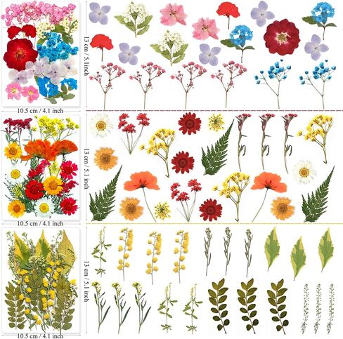 192Pcs Dried Pressed Flowers for Resin, Assorted Real Natural Bulk Dry Floral Leaves for DIY Art Crafts, Epoxy Molds, Jewelry, Soap, Candle Making, Nails Decors in Saudi Arabia
