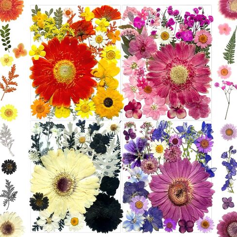 192Pcs Dried Pressed Flowers for Resin, Assorted Real Natural Bulk Dry Floral Leaves for DIY Art Crafts, Epoxy Molds, Jewelry, Soap, Candle Making, Nails Decors in Saudi Arabia