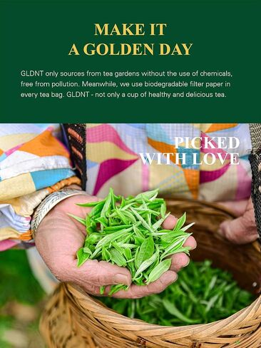 GLDNT Organic Green Tea Bags, Natural Pure Organic Green Tea, Super Antioxidant, Caffeinated, 100 Count in Saudi Arabia