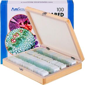 AmScope PS100B Prepared Microscope Slide Set for Basic Biological Science Education, 100 Slides, Set B, Includes Fitted Wooden Case