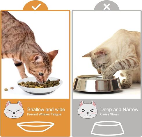 ​3 PCS Cat Food Bowls Diameter 5 inch,Kitten Food Bowl,Cat Food Bowls for Indoor Cats，Anti Whisker Fatigue Cat,Shallow Wide,Non-Slip Silicone Bottom,Cat Dishes for Food and Water. in Saudi Arabia