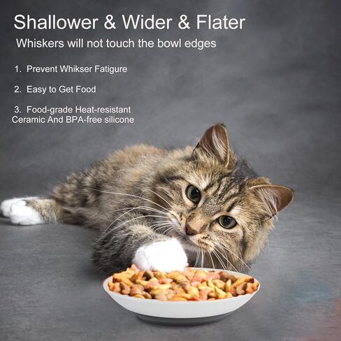 ​3 PCS Cat Food Bowls Diameter 5 inch,Kitten Food Bowl,Cat Food Bowls for Indoor Cats，Anti Whisker Fatigue Cat,Shallow Wide,Non-Slip Silicone Bottom,Cat Dishes for Food and Water. in Saudi Arabia