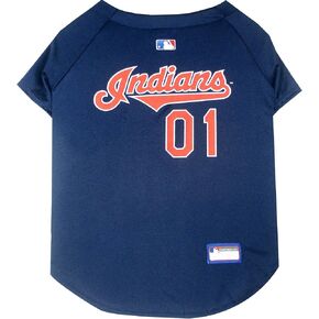 MLB Jersey for Dogs & Cats - Baseball Minnesota Twins Pet Jersey, Large.