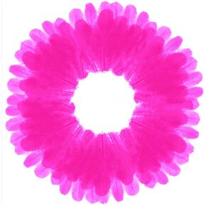 800 قطعة من ريش الديك الأبيض مقاس 3-5 بوصة من الريش السائب لصناعة الحرف اليدوية لرياض الأطفال وحفلات الزفاف وديكورات الحفلات العائلية ومستلزمات صائد الأحلام والريش الطبيعي in Kuwait