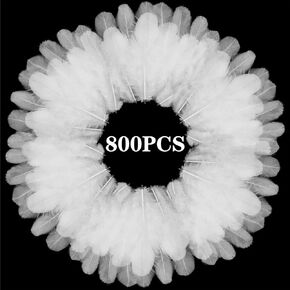 800Pcs White Craft Rooster Feathers 3-5 inch Bulk Feathers for Crafting Kindergarten DIY Crafts, Wedding, Family Party Decorations, Dream Catcher Supplies, Natural Feathers