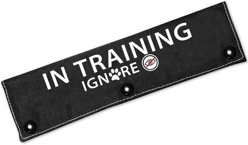 مقود كلب أسود مزدوج الجوانب من Do Not Pet، إكسسوار مشي للكلاب - هدية عيد ميلاد للحيوانات الأليفة - هدية لمالك الكلب ومحبيه in Kuwait