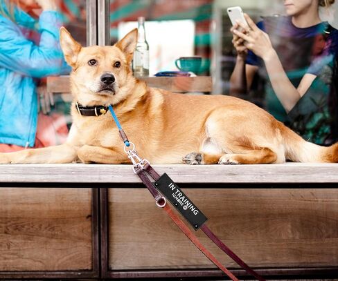 مقود كلب أسود مزدوج الجوانب من Do Not Pet، إكسسوار مشي للكلاب - هدية عيد ميلاد للحيوانات الأليفة - هدية لمالك الكلب ومحبيه in Kuwait