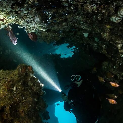 WINDFIRE Dive Lights Scuba Diving Flashlight, 5000LM Scuba Dive Light Rechargeable, IPX8 Waterproof Flashlight Underwater Lights, 3 Modes Diving Torch with Power Indicator for Night Diving in Kuwait