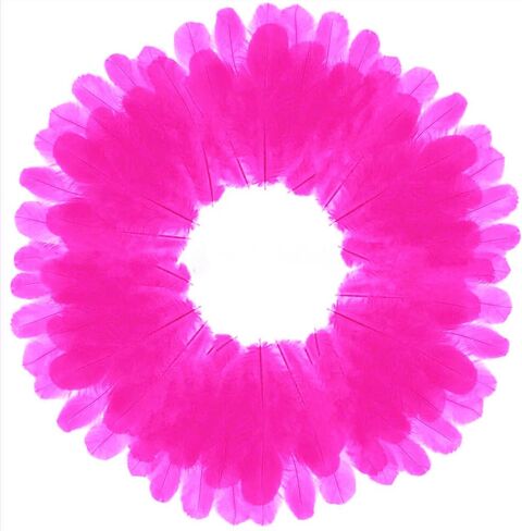 800 قطعة من ريش الديك الأبيض مقاس 3-5 بوصة من الريش السائب لصناعة الحرف اليدوية لرياض الأطفال وحفلات الزفاف وديكورات الحفلات العائلية ومستلزمات صائد الأحلام والريش الطبيعي in Kuwait