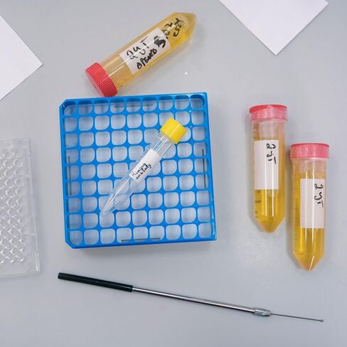 PATIKIL 81 Well Polycarbonate Freezer Boxes, 1 Pcs Polycarbonate Tube Rack for 2.0ML Tubes Vials Samples, Green in Saudi Arabia