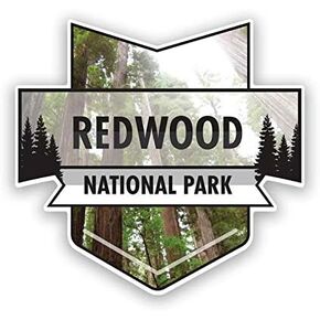 Redwood National Park Magnet | 4.7-Inch by 4.5-Inch | 2-Pack | 30 MIL Heavy Duty Magnetic Material | MPD958