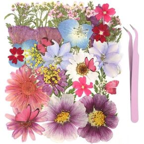 NATISERAUM 75Pcs Natural Pressed Dried Flowers Resin and Butterflys, Dry Flowers for Resin Accessories with Tweezer, Dried Flower for Scrapbooking DIY Art Crafts, Epoxy Resin Jewelry Molds, Candle