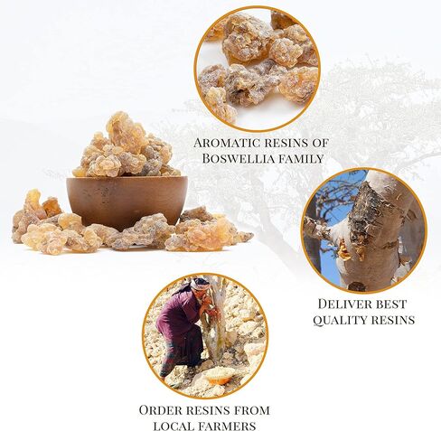 بخور اللبان من المنتجات النارية (1 رطل / 453.6 جرام) | بخور اللبان النقي 100% | اللبان الصومالي in Kuwait