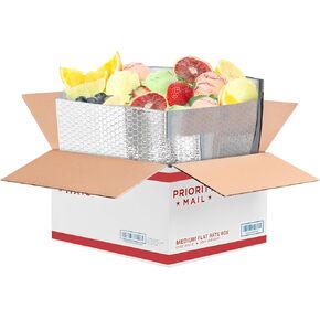 ABC Foil Insulated Box Liners 10 x 10 x 10 inches. 10 Pack Silver Insulated Shipping Boxes for Frozen Food, Odorless Insulated Shipping Containers. Leakproof Cold Shipping Boxes for Frozen Fish, Meat