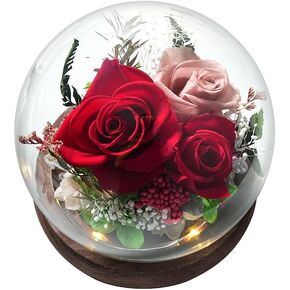 Unique Preserved Flowers Bouquet Gifts for Women, Real Forever Rose in Glass Dome with LED Light (Burgundy Rose, Dirty Pink Rose, Wine Red Rose)