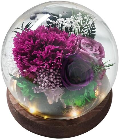 Unique Preserved Flowers Bouquet Gifts for Women, Real Forever Rose in Glass Dome with LED Light (Burgundy Rose, Dirty Pink Rose, Wine Red Rose) in Saudi Arabia