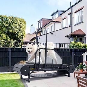 Dog Treadmill for Large/Medium Dogs, Adjustable Ramp Canine Running Slatmill Machine with Pedometer for Exercise & Healthy & Fit Pet Life, Used Indoor Home Up to 300LBS