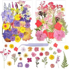 Dried Pressed Flowers for Crafts Beautiful Natural Dried Flowers Real Pressed Flowers Suitable for Resin Crafts, Scrapbooking, epoxy molds, DIY Coasters,Handmade Jewelry, Greeting Cards, Candles