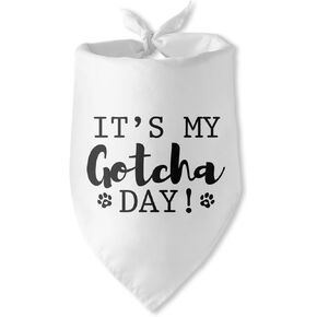 إنها عيد ميلادي الأم الجراء الأزرق الكلب باندانا الكلب عيد ميلاد الصبي باندانا جرو باندانا مضحك الحيوانات الأليفة جرو صور الدعامة الحيوانات الأليفة وشاح الملحقات لمحبي الكلاب الأليفة الهدايا in Kuwait