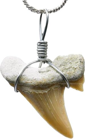 Authentic Shark Tooth Necklace - Unisex Fossil Necklace with Real Shark Teeth - Ideal Shark Tooth Necklace for Boys, Men, Kids and Girls in Kuwait