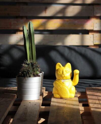 Lucky Cat wellcome manekineko fortune gift. Japanese tradition. Different colors. (White) in Saudi Arabia