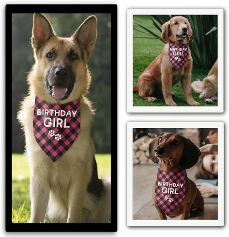 It's My Birthday Mother Puppers Blue Dog Bandana Dog Birthday Boy Bandana Puppy Bandana Funny Pet Puppy Photo Prop Pet Scarf Accessories for Pet Dog Lovers Gifts in Saudi Arabia