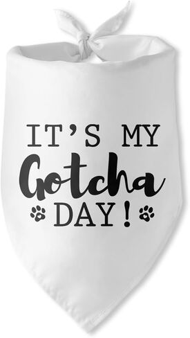 إنها عيد ميلادي الأم الجراء الأزرق الكلب باندانا الكلب عيد ميلاد الصبي باندانا جرو باندانا مضحك الحيوانات الأليفة جرو صور الدعامة الحيوانات الأليفة وشاح الملحقات لمحبي الكلاب الأليفة الهدايا in Kuwait