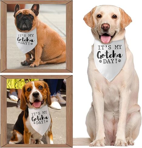 إنها عيد ميلادي الأم الجراء الأزرق الكلب باندانا الكلب عيد ميلاد الصبي باندانا جرو باندانا مضحك الحيوانات الأليفة جرو صور الدعامة الحيوانات الأليفة وشاح الملحقات لمحبي الكلاب الأليفة الهدايا in Kuwait