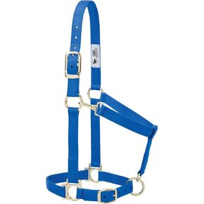 Weaver Leather Basic Adjustable Nylon Halter, Blue, 1" Large Horse
