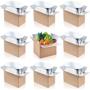 Nuanchu 20 Pack Insulated Shipping Boxes Cold Shipping Boxes with Aluminum Foil Double Insulated Bags for Shipping Frozen Food Mailing or Shipping, 9" x 5" x 6"