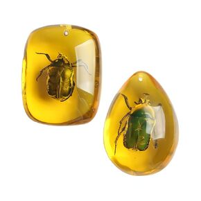 Ximimark 2 PCS Amber Beetle 2 PCS Amber Beetle Fossil Natural True Insect Specimens Manual PolishingFossil Natural True Insect Specimens Manual Polishing